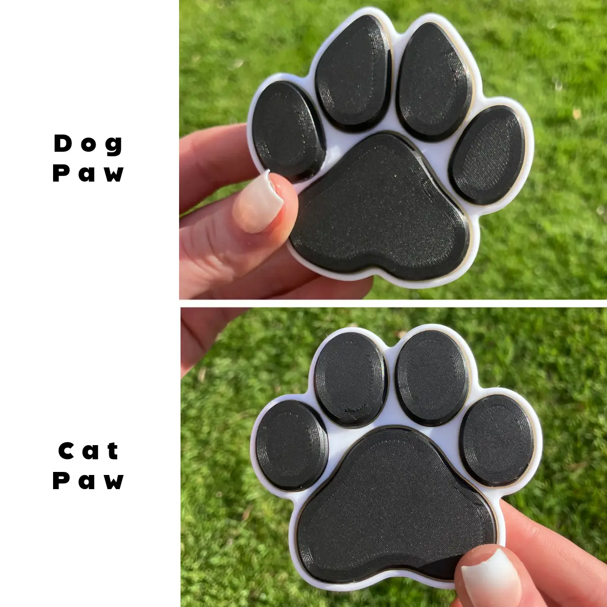 Clicky Paws